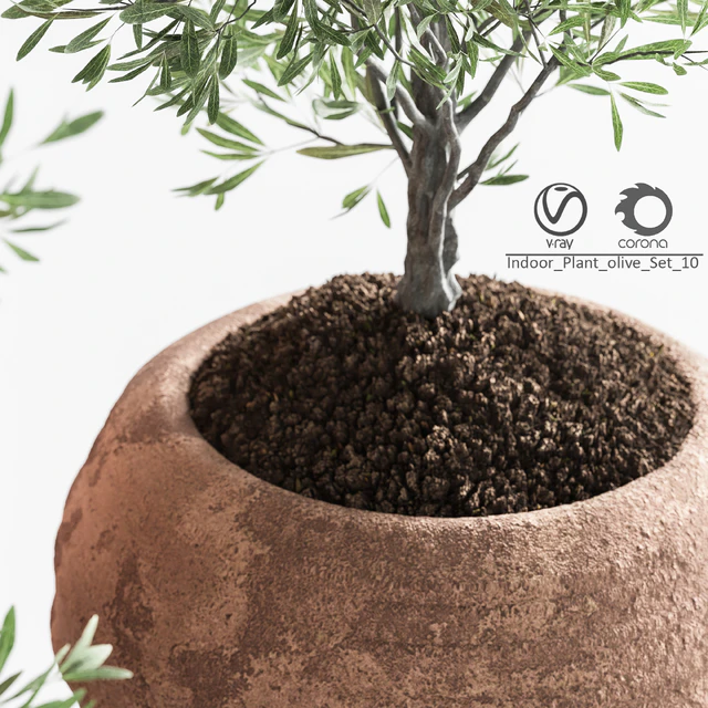 Indoor Plant olive Set 10 — Descargar