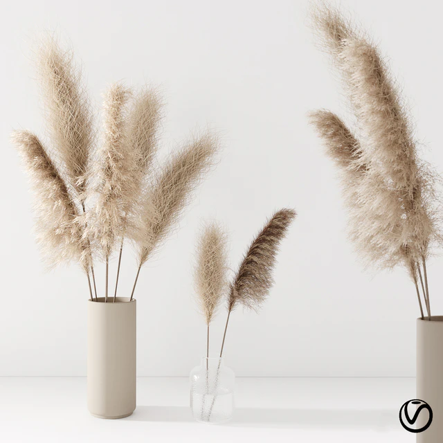 Set of pampas in vase — Descargar