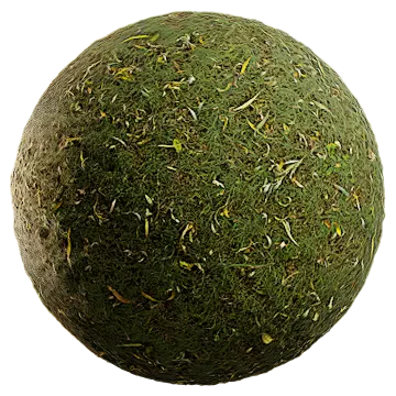 grass and leaves 015 — Descargar