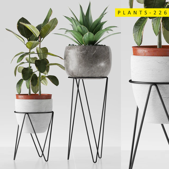 plants 226 — Descargar