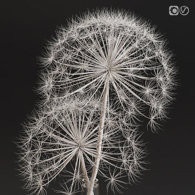 Decor set 13 Heracleum plant white — Вид 3