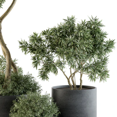 Outdoor Plants Tree in pot - Set 90 — Вид 5