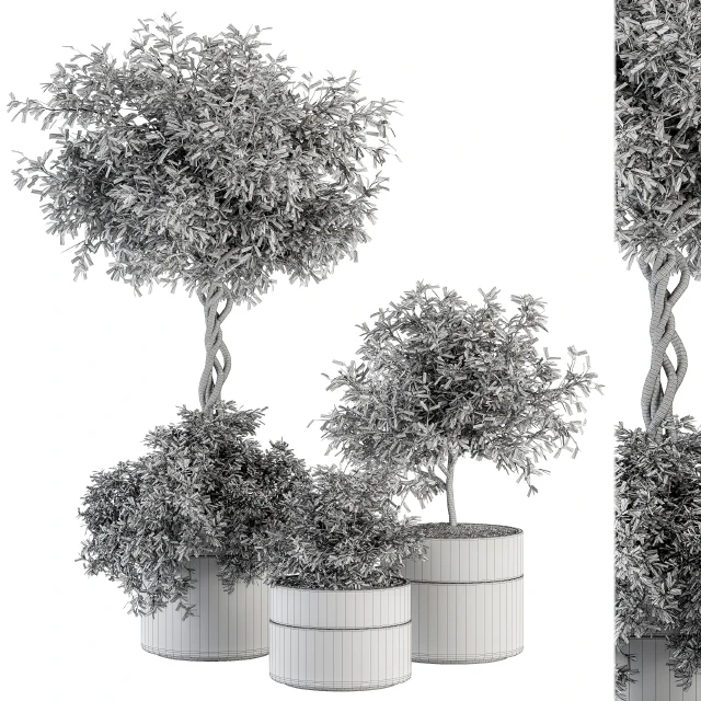 Outdoor Plant Set 241 - Plant in Pot Set — Descargar