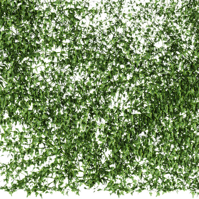 A long wall of ivy. 2 models — Descargar