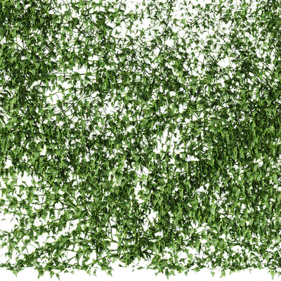 A long wall of ivy. 2 models — Ver 3