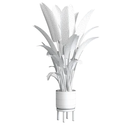 Indoor plant 137 vase wood pot  plant ravenala — Вид 2
