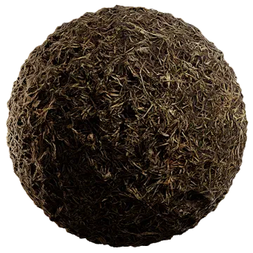 dried grass 007 — Скачать