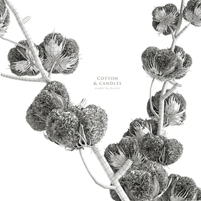 Cotton & candles — Ver 5