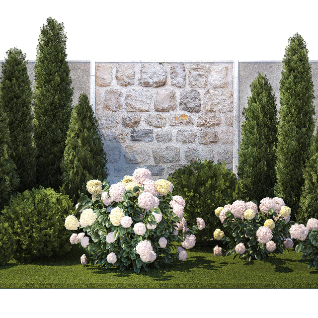 Collection of plants garden with bushes and trees for landscape design with thuja, cypress, flowering Hydrangea white. Set 1378. — Descargar