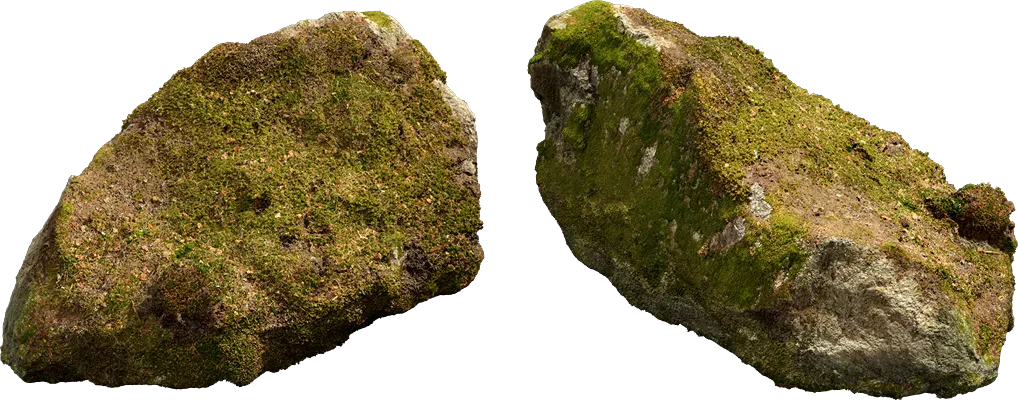 nordic forest rock moss large 002 — Скачать