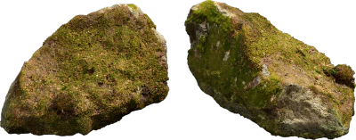nordic forest rock moss large 002 — Скачать
