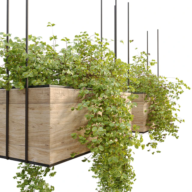 Plant hanger — Descargar