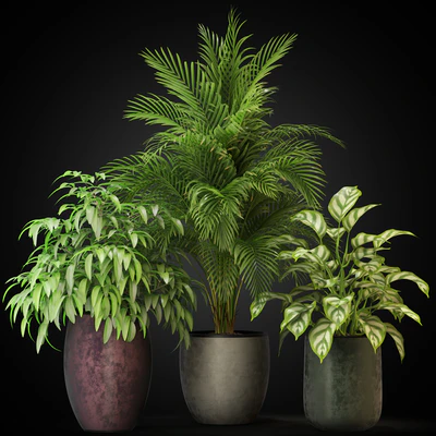Plants collection 269 — Ver 5