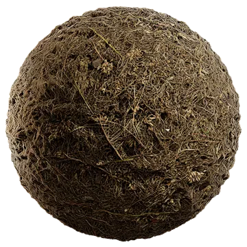 grass dried 037 — Скачать