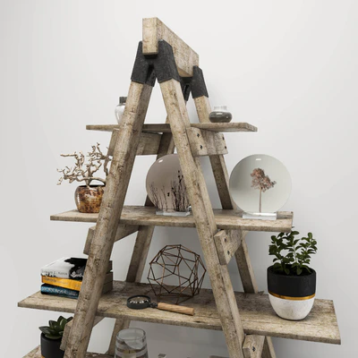 Rustic ladder bookshelf — Ver 4
