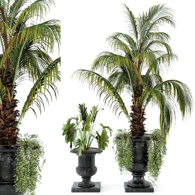 Outdoor Plants bush and Tree in rusty Concrete Pot - Set 26 — Descargar