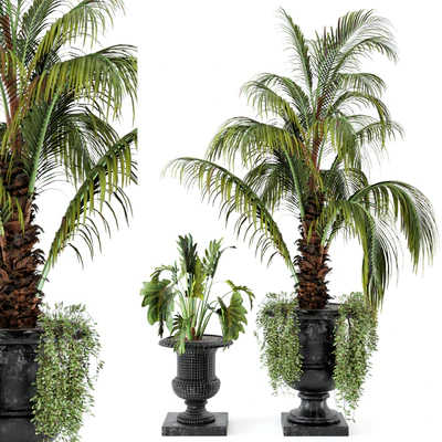 Outdoor Plants bush and Tree in rusty Concrete Pot - Set 26 — Ver 1