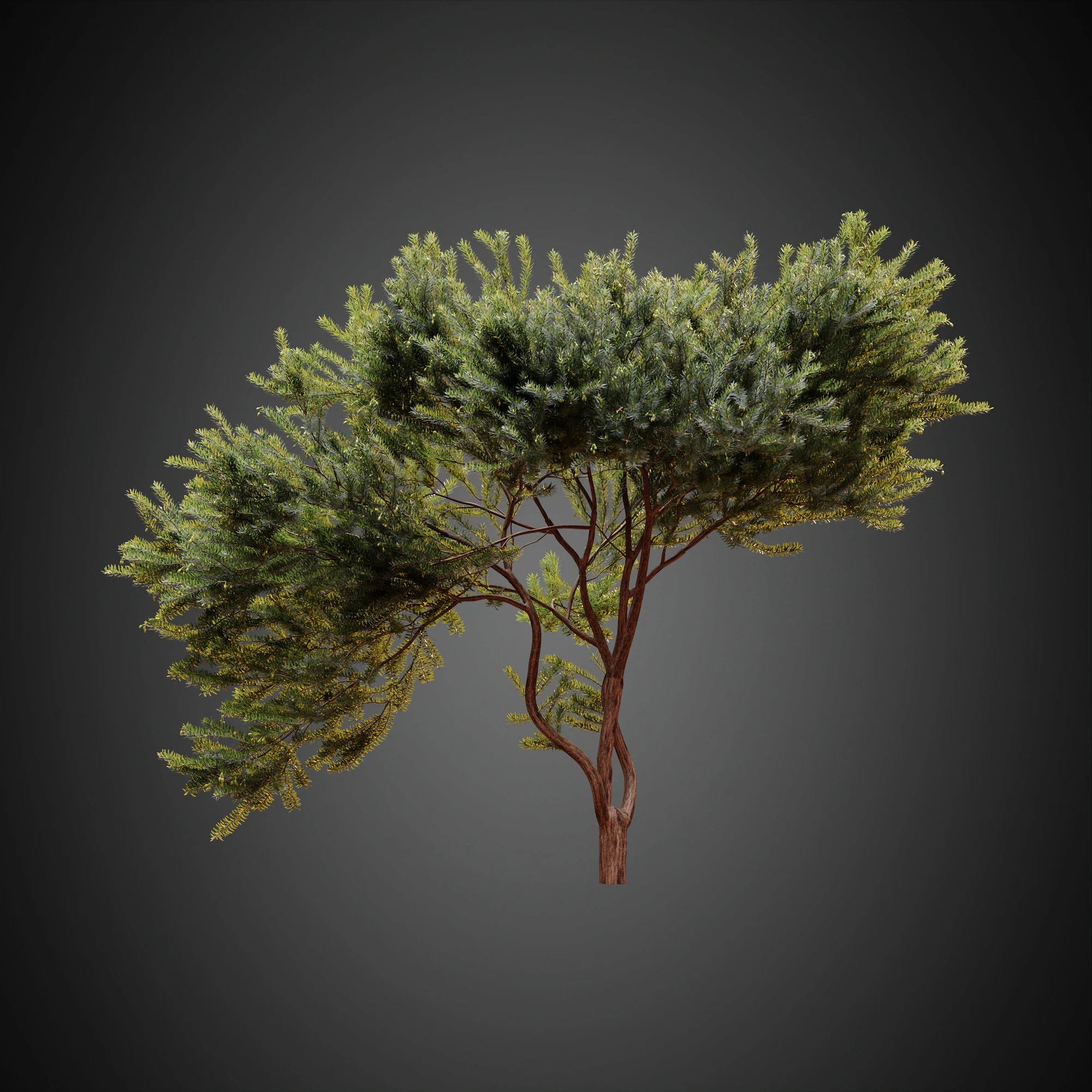 006 — Скачать