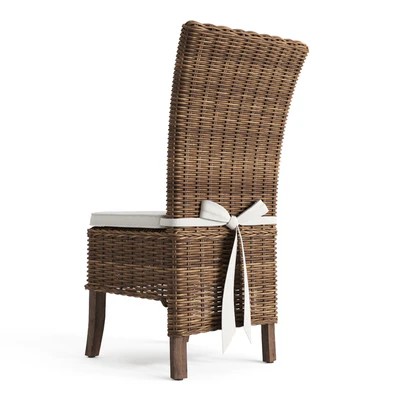 Salsa dining chair — Ver 3