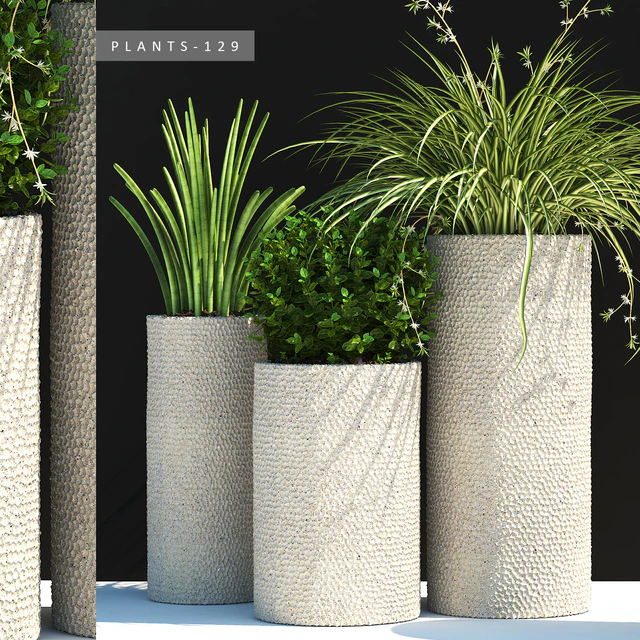 PLANTS 129 — Descargar
