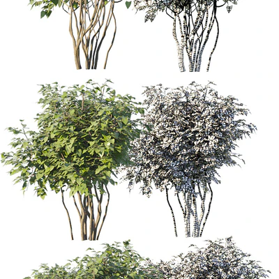 Set of bushes — Ver 2