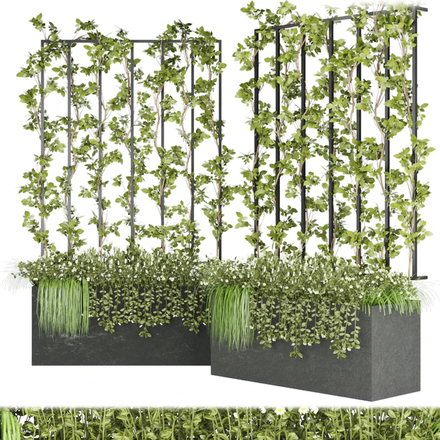 Collection plant vol 36 — Скачать