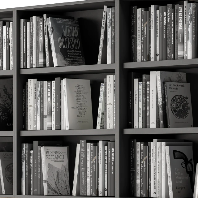 Simple Library with black and white Books — Скачать