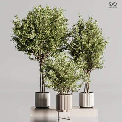 Indoor Plant Set 85 — Ver 6