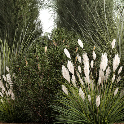 Alpine hill olive, pine, reed, thuja and cypress, feather grass grass, silver goof. Plant collection 1188 — Ver 3
