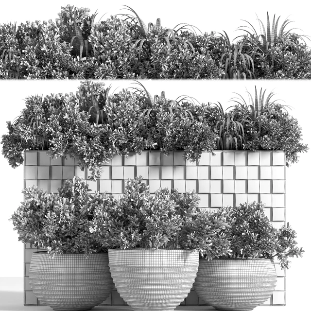 outdoor plant collection Box — Descargar