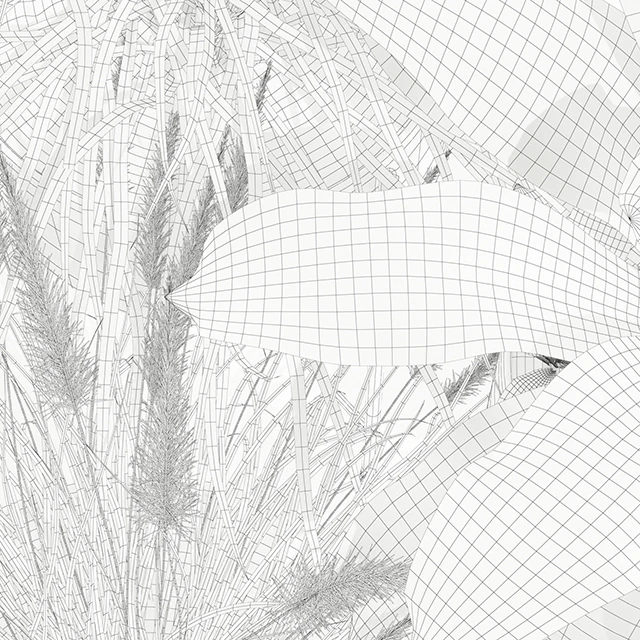 Plants collection 146 AGATA — Descargar