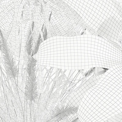 Plants collection 146 AGATA — Ver 2
