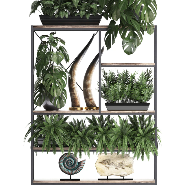 Decorative set modern wooden shelf with flowers in pots with monstera, fern, tusk, ammonite, statuette. 10 — Descargar