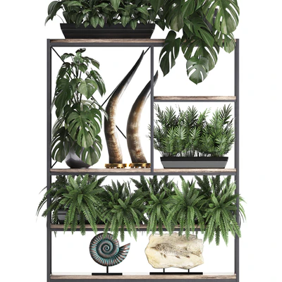 Decorative set modern wooden shelf with flowers in pots with monstera, fern, tusk, ammonite, statuette. 10 — Ver 2