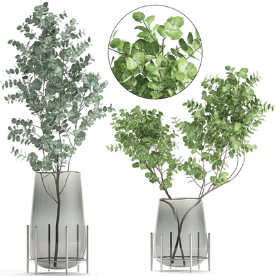A collection of beautiful bouquets of branches with Eucalyptus leaves in a shelved vase. Set of 100. — Ver 1