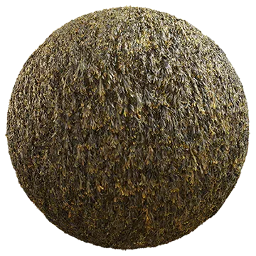 seaweed 002 — Descargar