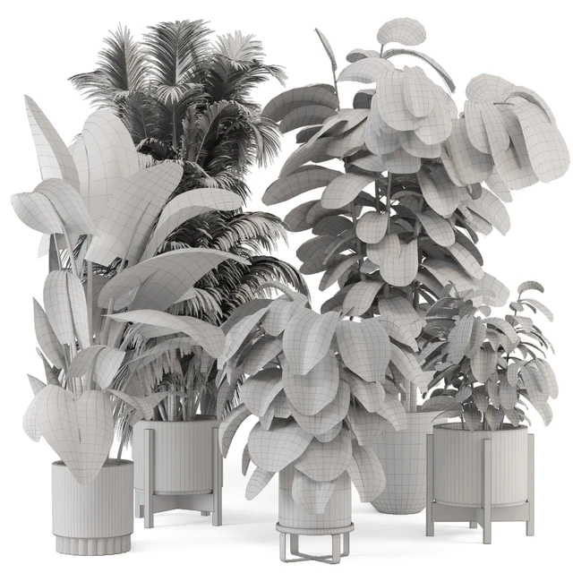Indoor Plants in Ferm Living Bau Pot Large - Set 1361 — Descargar