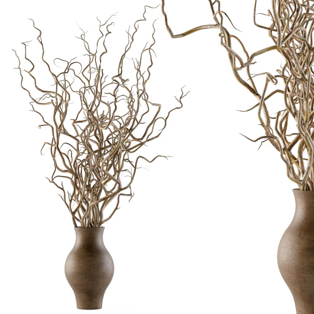 Bouquet Set 19 - Dried twisted branches — Скачать