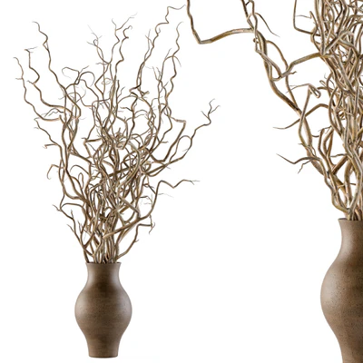 Bouquet Set 19 - Dried twisted branches — Вид 1