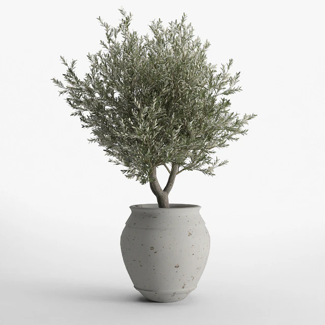 prescott planter set — Скачать