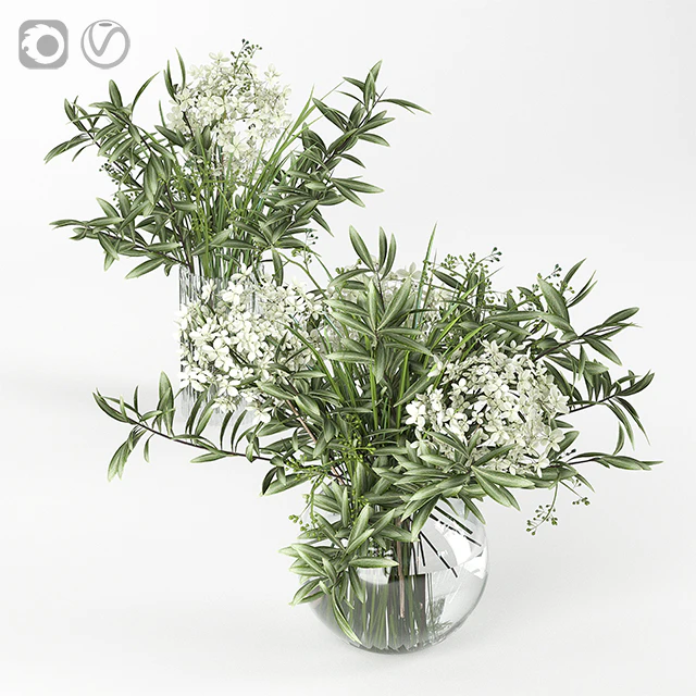 Bouquet 3 — Descargar
