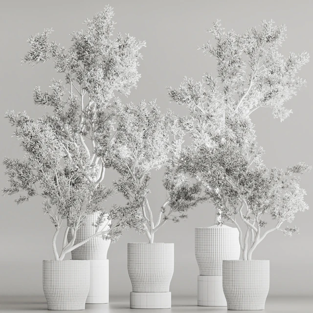 Indoor Plant Set 58 — Descargar