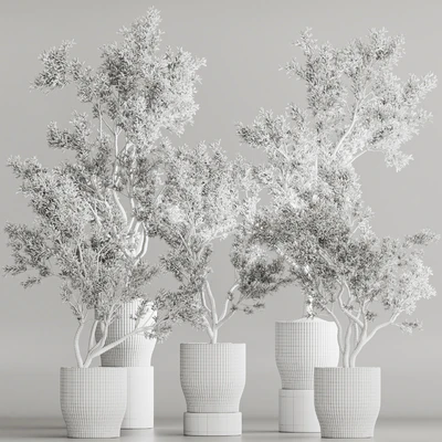 Indoor Plant Set 58 — Ver 5