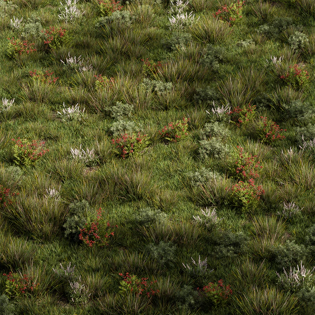 Nature Meadow - Grass Set 17 — Descargar