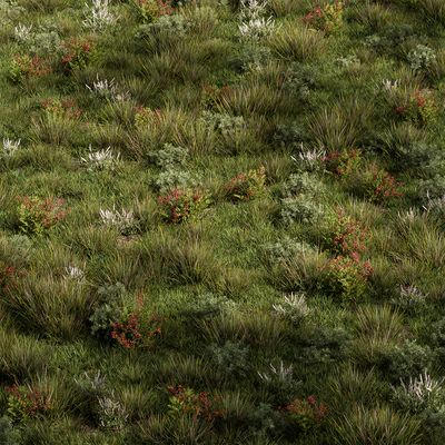 Nature Meadow - Grass Set 17 — Ver 4