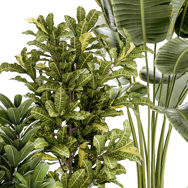 Plant collection 1407 — Descargar