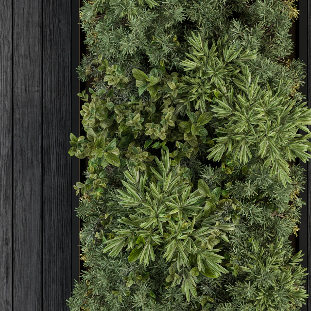 Vertical Garden Black Frame - Wall Decor 38 — Descargar