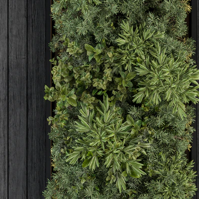 Vertical Garden Black Frame - Wall Decor 38 — Ver 5