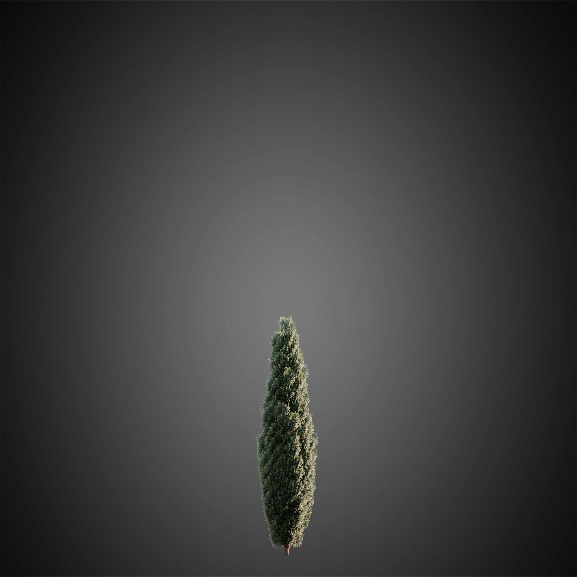017 — Descargar