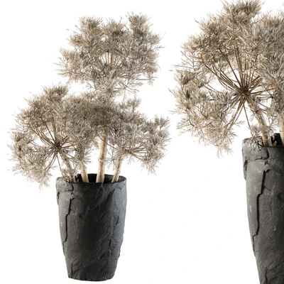Dry plants 32 - Dried Plant — Вид 1